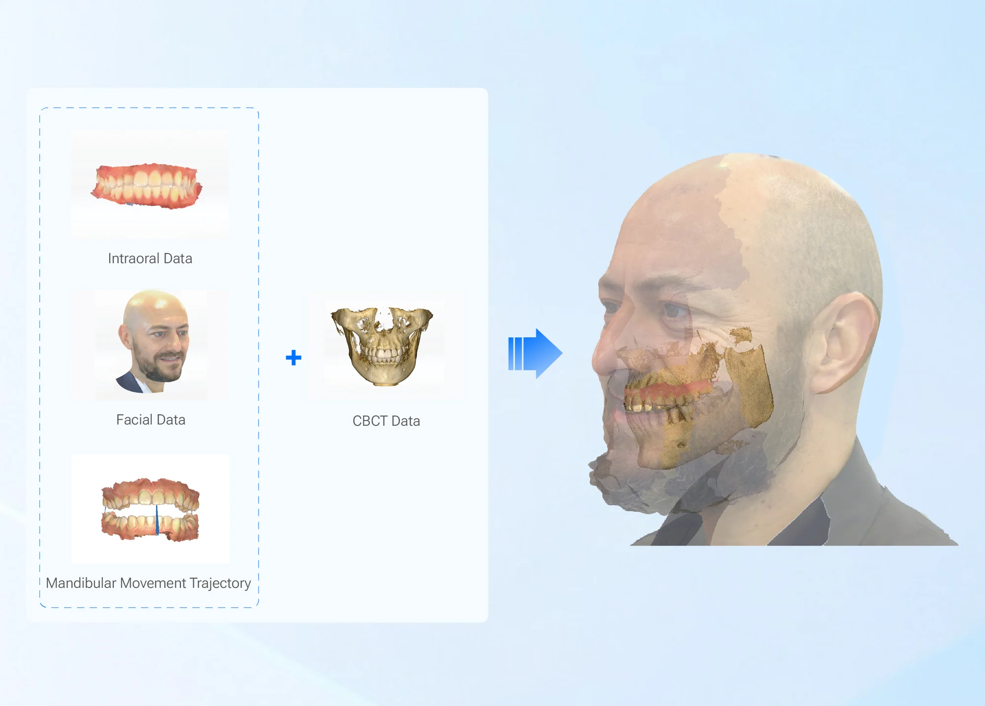 virtual patient