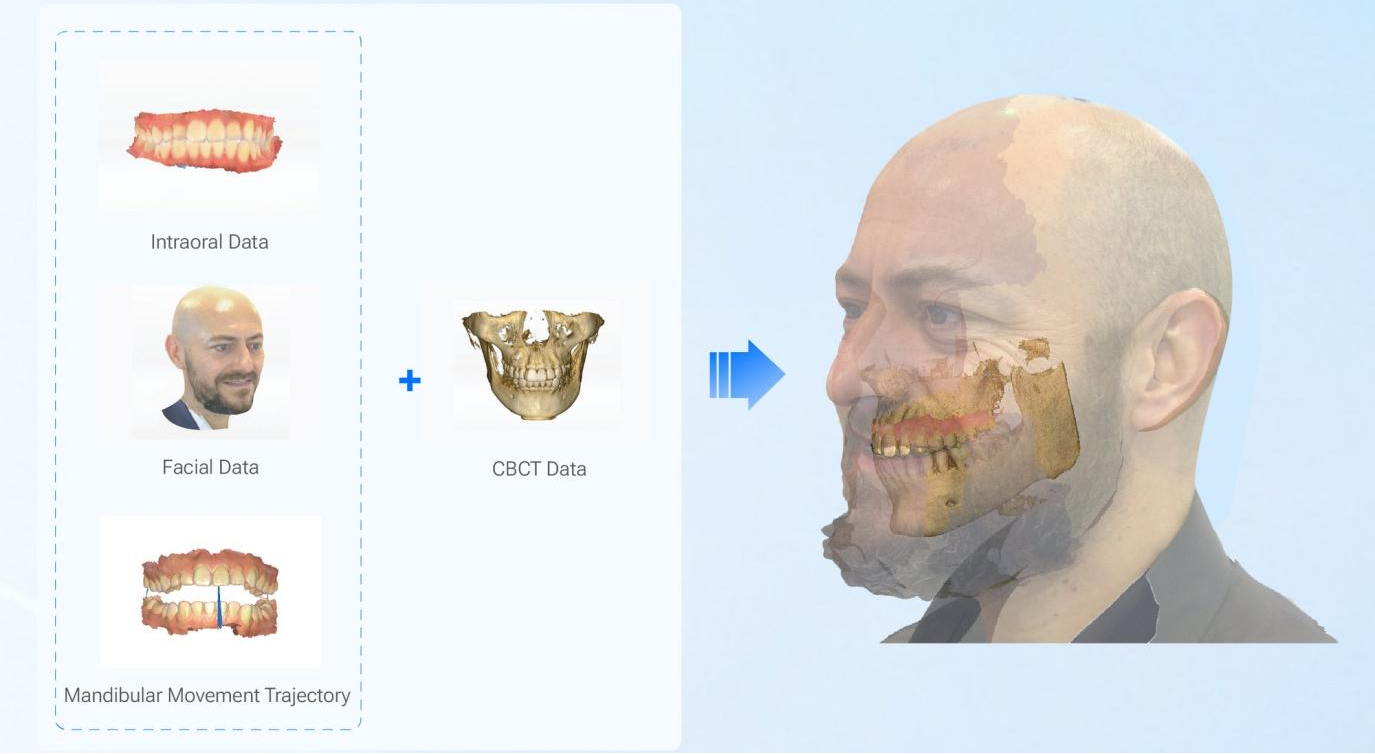 virtual patient