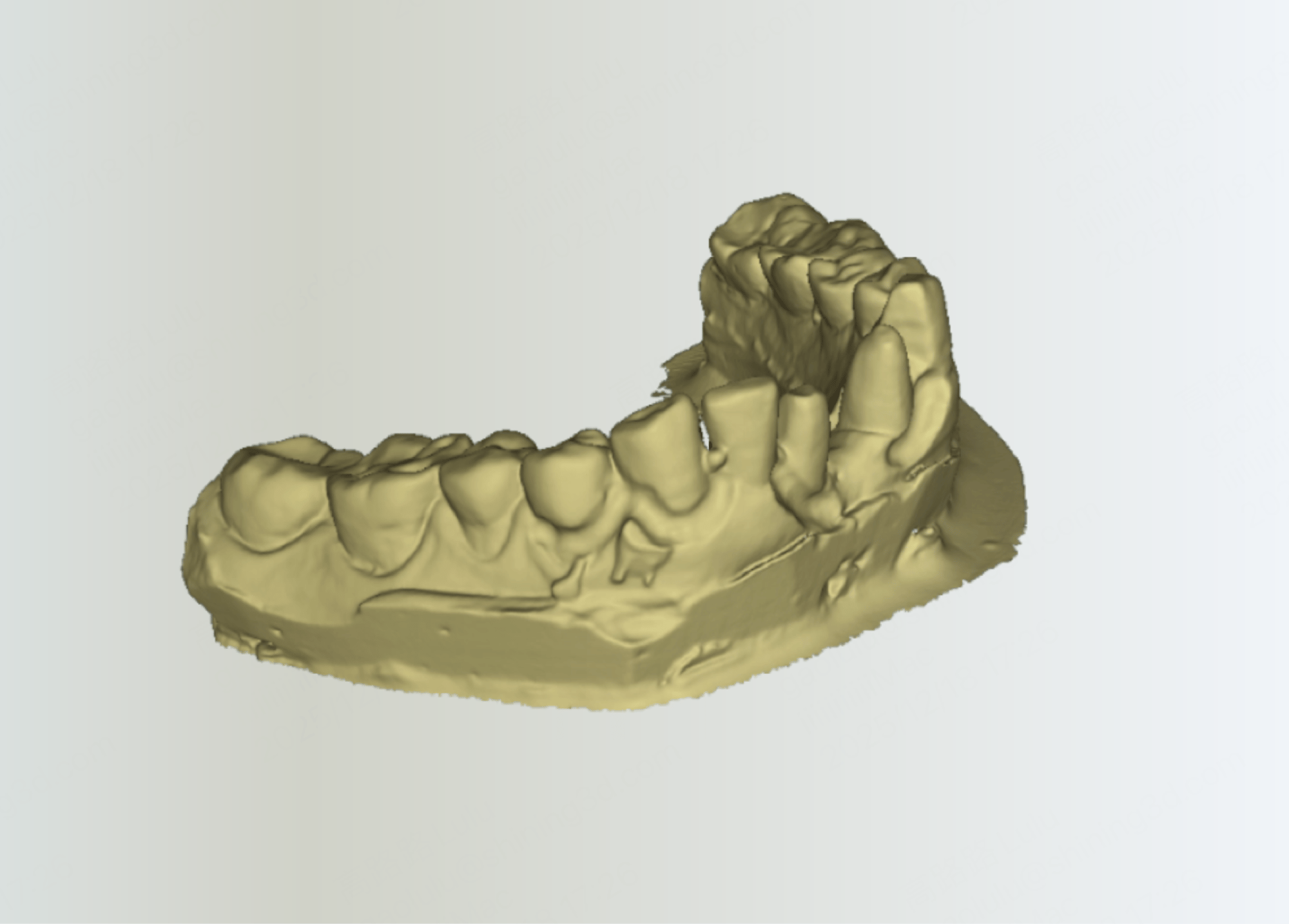 AutoScan-DS-EX Pro(C)_intelligent add-scan