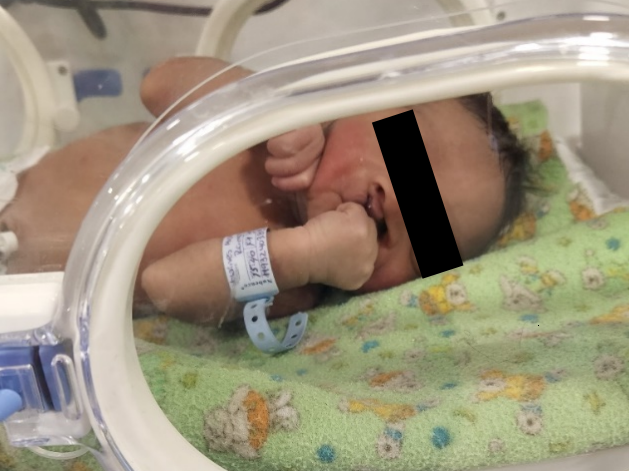 1-Feb-27-2026-04-11-34-7465-AM